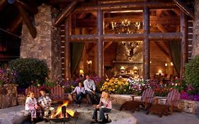 Bachelor Gulch Timbers